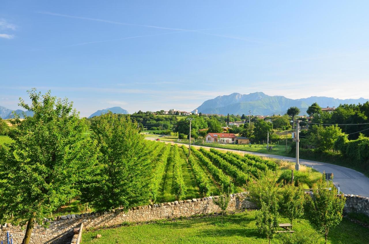 Agriturismo Borgo Floreani Vendoglio Extérieur photo